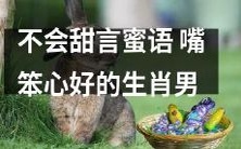 以善良为本,不谙巧言令色——以心善而言拙的生肖男
