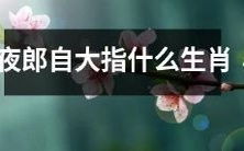 十二生肖之一的夜郎自大是什么意思?