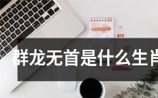 群龙无首代表的是哪个生肖呢?