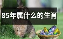 根据中国十二生肖的循环,对于出生于1985年的人而言,他们的生肖是什么?