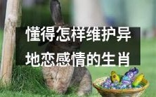 十二生肖中,哪些能更好地维护异地恋的爱情?