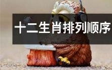 中国传统文化中的12生肖动物,按照顺序排列的规则及其深层意义解析