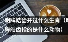 能苏醒你灵魂的生肖是哪个?——揭秘拥有明眸皓齿之动物