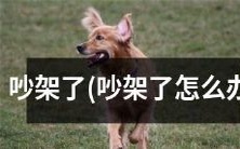 当两人争执不下时,该如何处理和解决其吵架问题?