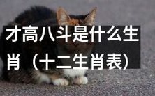 哪个生肖代表着才华横溢、博学多才的“才高八斗”特质?