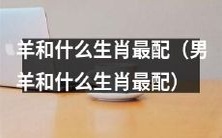 探讨羊和各生肖的姻缘:男羊最适合与哪个生肖搭配?