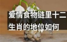 在爱情食物链中,十二生肖所代表的地位在恋爱世界中究竟如何?