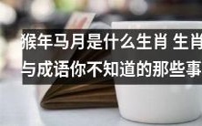 探索猴年马月的生肖之谜与揭示生肖与成语的未知秘密