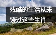 这些生肖从未被生活所饶恕,经历了无尽的残酷与磨难