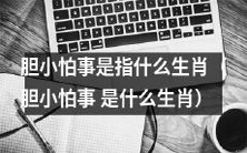 哪些生肖容易被归为胆小怕事的类型