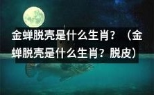 金蝉脱壳是哪个生肖?其特有的脱皮方式引人好奇