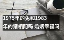 婚姻可以幸福吗?一个1975年的兔子和1983年的猪能否成功搭配?
