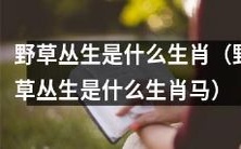 野草丛生的生肖是什么?是马吗?