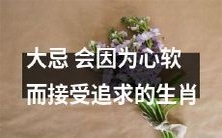 十二生肖中有哪些生肖容易因心软而接受追求,这是一个大忌!