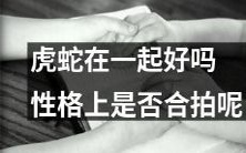 虎和蛇的相处表现:是否有性格上的契合点?