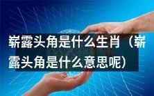 想知道“崭露头角”在生肖中对应哪个?以及“崭露头角”究竟意味着什么?
