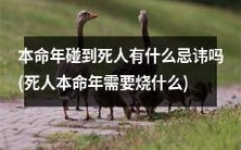 在本命年遇到已故人士,有哪些应注意的忌讳和应采取的祭奠措施?需要烧什么?
