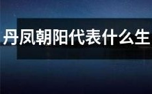 丹凤朝阳代表的是哪个生肖,它们的象征意义是什么?
