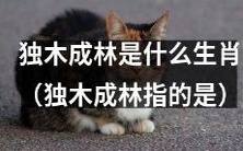 独木成林是哪个生肖所指的状态,指的是一个孤独、独立且果敢的个体在困境中毫不畏惧,独占资源而不需要其他伙伴的协助?