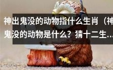 你能猜出那些神秘诡异的动物代表哪些生肖吗?