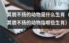 哪些生肖代表了那些看起来相貌平凡无奇的动物?