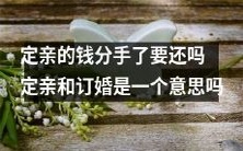 在定亲时支付的定金或聘礼是否需要还回,事实上定亲与订婚是否同义呢?
