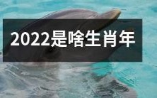 2022属于哪个生肖 - 为您解答即将到来的2022年属于哪一生肖