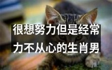 经常感到力不从心却一直想要变得更优秀的十二生肖男子