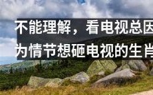 这个生肖总是因为无法理解电视剧情节而想砸电视的状况