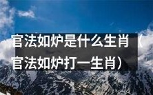 猜测官法如炉生肖是什么