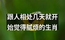 哪些生肖在相处仅数天便令人感到心生厌烦?