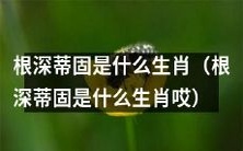 哪个生肖最根深蒂固呢?