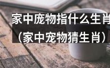 家中奇妙生物:猜猜这个宠物是哪个生肖?