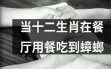 憨态可掬的十二生肖在餐厅用餐之际遭遇蟑螂惊险遭遇