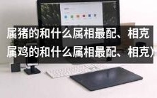 十二生肖之属猪者如何与其他十一种属相进行配对和相克,以及其中特别关注属鸡者的匹配指南
