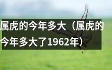 属于1962年属虎的人今年已经多少岁了?