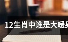 在12种生肖中,哪一个是最具温暖男性魅力的呢?