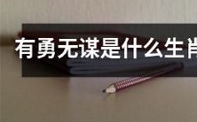 哪些生肖无谋却充满勇气?