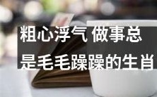 多动症日常:生肖特质中的粗心浮气和毛毛躁躁影响工作生活