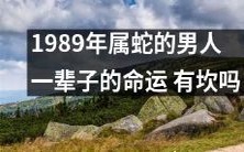 1989年出生的属蛇男人:探索其一生命运是否会经历波折和挑战前进的坎道?