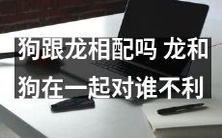 狗与龙是否适宜搭配?将龙与狗联系在一起会对谁造成不利影响?