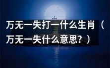 哪个生肖最为保险,可谓万无一失?