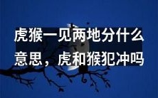 当虎猴相见时,为何会导致两地分离?虎与猴是否存在冲突?