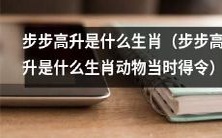 步步高升的生肖动物是什么?