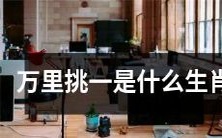 哪个生肖会成为万里挑一?