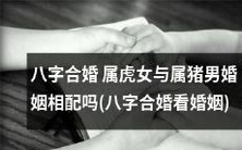 通过八字合婚,探究属虎女与属猪男的婚姻相宜程度