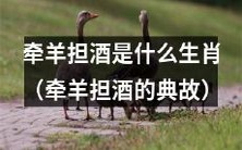 你知道“牵羊担酒”的典故来自于哪个生肖吗?