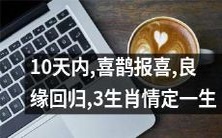 10天内,喜鹊来报喜!良缘回归,三生肖缔结一生姻缘!