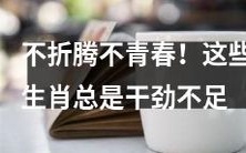 这些生肖缺乏行动力,不愿折腾,错失青春机遇