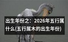 如果我的出生年份是2026年,并且我属于五行之一,那么按照五行理论,我应该属于哪一类呢?根据五行属木的出生年份来探究